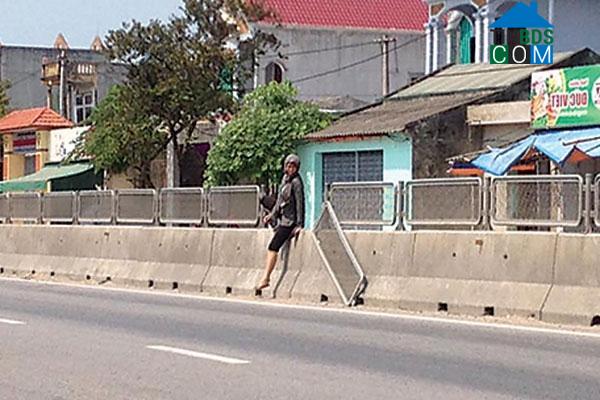 Hình ảnh Quảng Ninh, Thanh Hóa