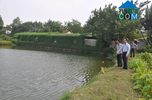 Hình ảnh Thắng Lợi, Thanh Hóa