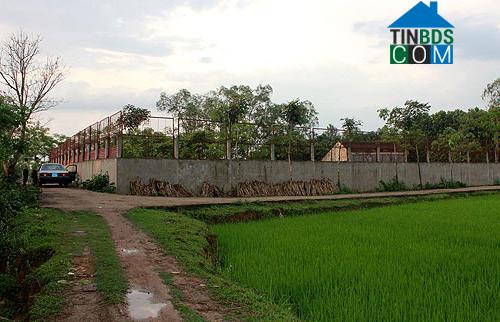 Hình ảnh Xuân Tín, Thanh Hóa