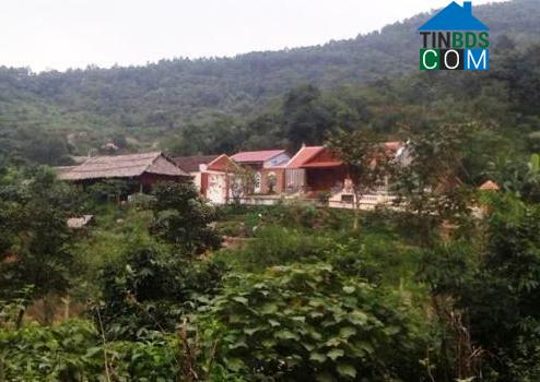 Hình ảnh Thành Vinh, Thanh Hóa