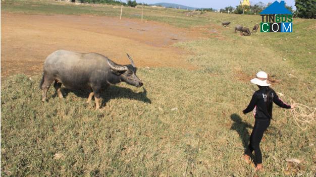 Hình ảnh Thiệu Toán, Thanh Hóa