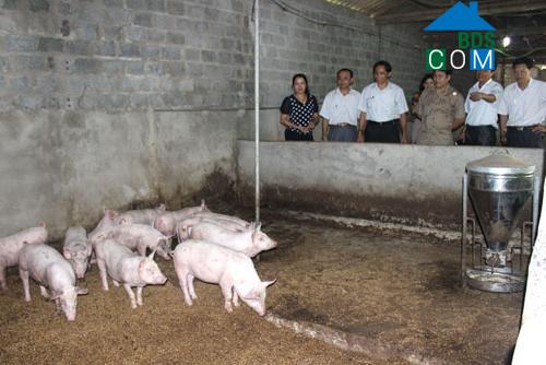 Hình ảnh Thiệu Trung, Thanh Hóa