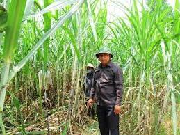 Hình ảnh Thọ Bình, Thanh Hóa