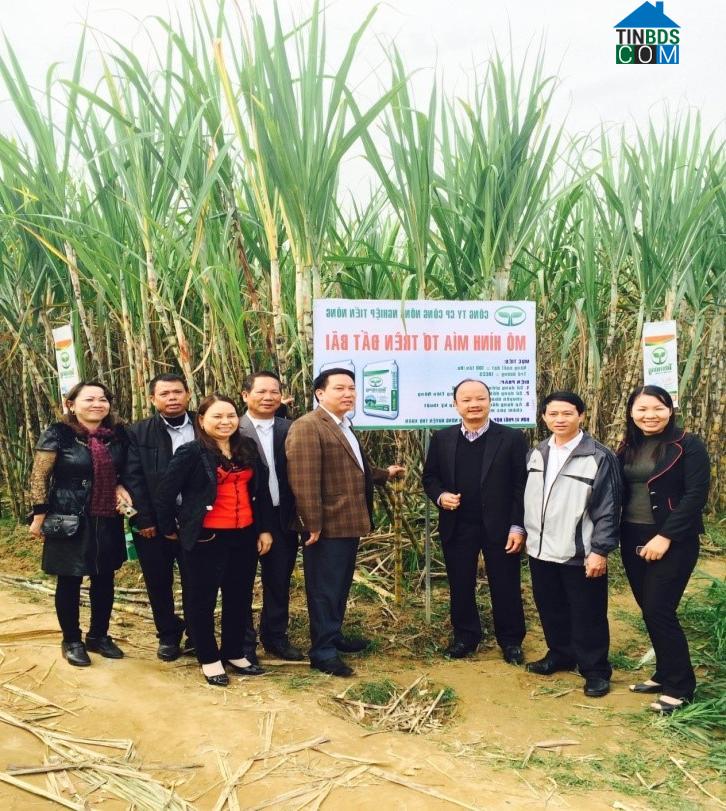 Hình ảnh Thọ Lập, Thanh Hóa