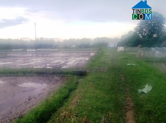 Hình ảnh Thọ Ngọc, Thanh Hóa