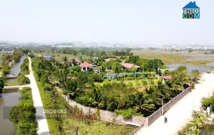 Hình ảnh Quang Trung, Thanh Hóa