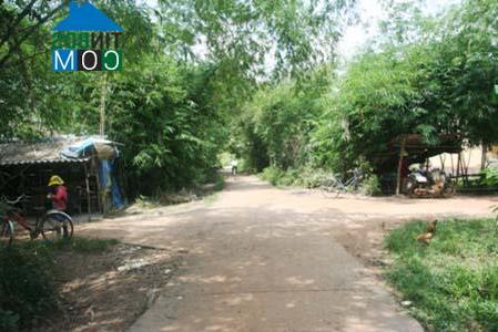 Hình ảnh Phong Thái, Huế