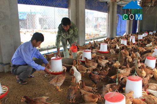 Hình ảnh Định Tân, Thanh Hóa