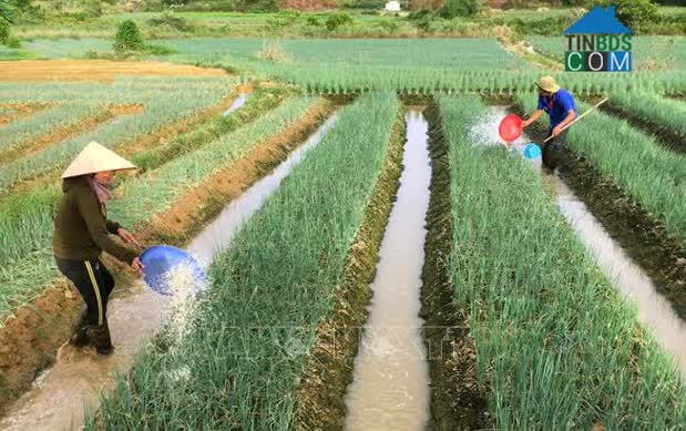 Hình ảnh Hương An, Huế