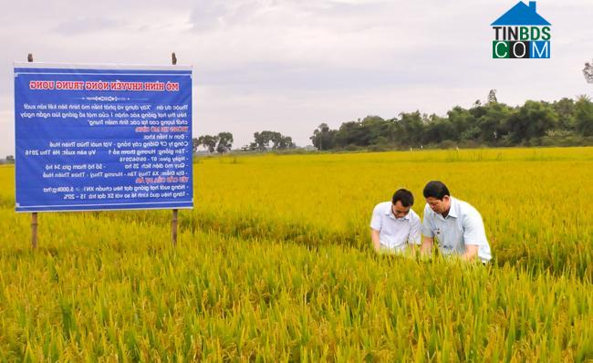 Hình ảnh Hương Thủy, Huế