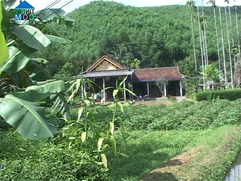 Hình ảnh Khe Tre, Huế