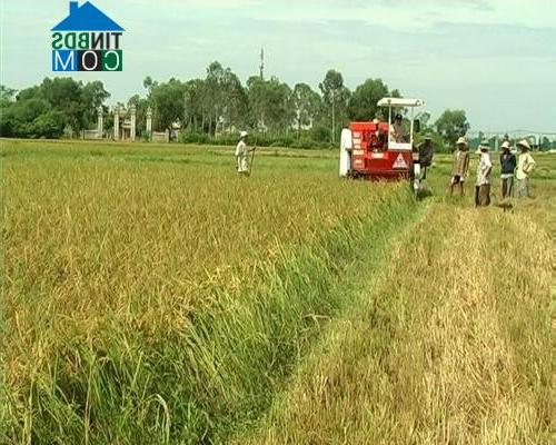 Hình ảnh Quảng Điền, Huế