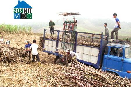 Hình ảnh Bình Xa, Tuyên Quang
