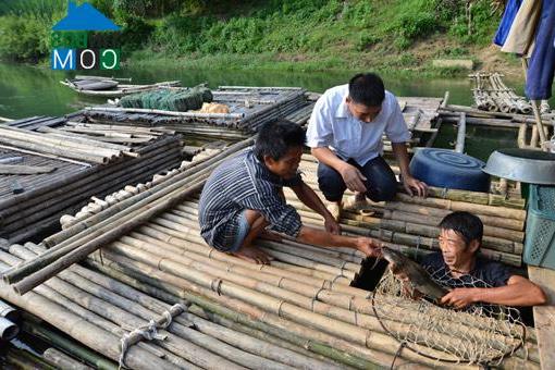 Hình ảnh Kim Bình, Tuyên Quang