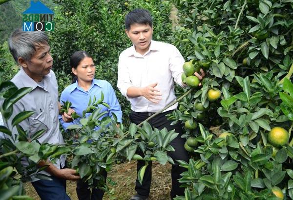 Hình ảnh Tân Thanh, Tuyên Quang