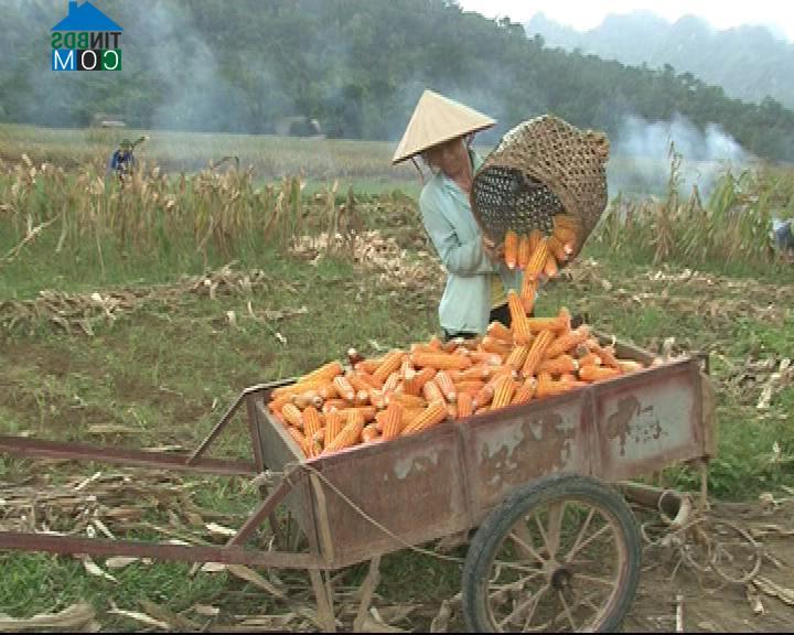 Hình ảnh Thượng Lâm, Tuyên Quang