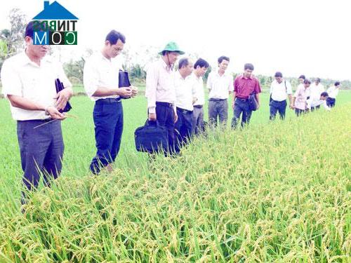 Hình ảnh Đại Điền, Vĩnh Long