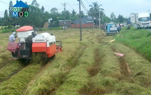 Hình ảnh Hiếu Phụng, Vĩnh Long