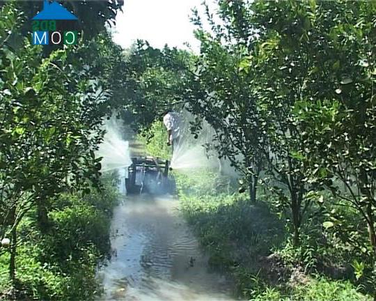 Hình ảnh Hiếu Thành, Vĩnh Long