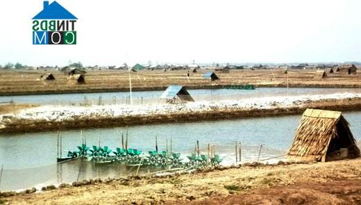 Hình ảnh Hiệp Mỹ, Vĩnh Long