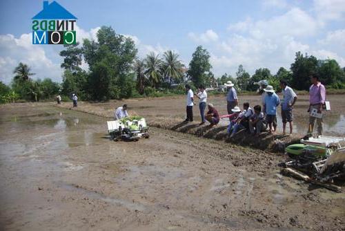 Hình ảnh Hưng Mỹ, Vĩnh Long