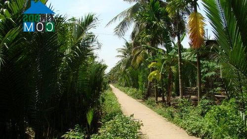 Hình ảnh Phước Long, Vĩnh Long