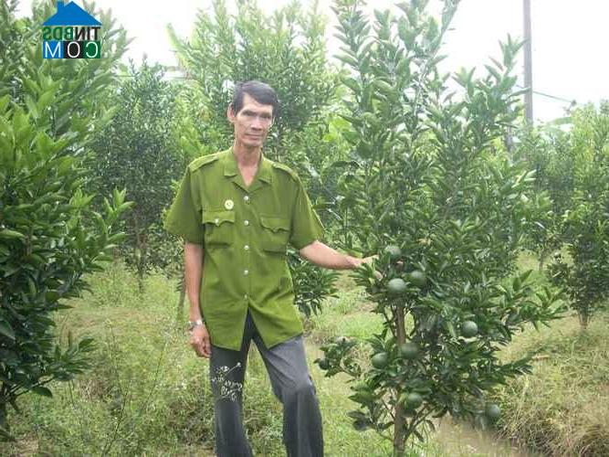 Hình ảnh Tam Ngãi, Vĩnh Long