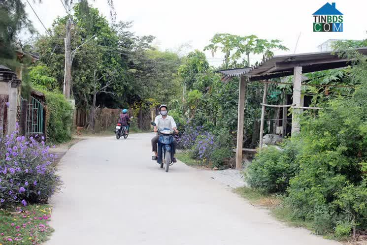 Hình ảnh Tân Xuân, Vĩnh Long