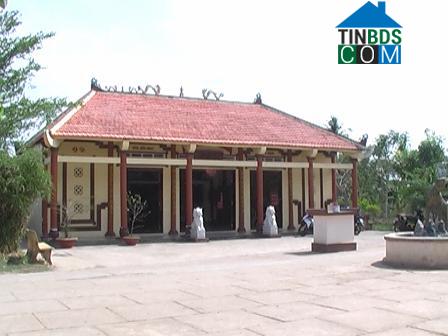 Hình ảnh Giá Rai, Cà Mau