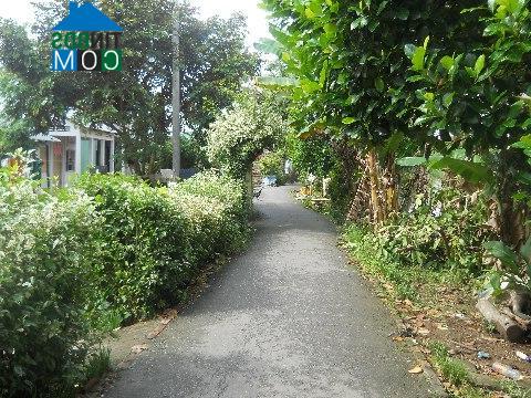 Hình ảnh Phong Điền, Cần Thơ