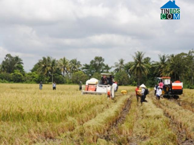 Hình ảnh Trường Khánh, Cần Thơ