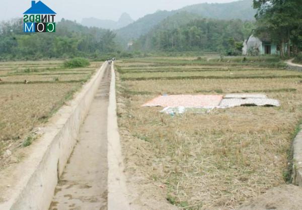 Hình ảnh Bế Văn Đàn, Cao Bằng