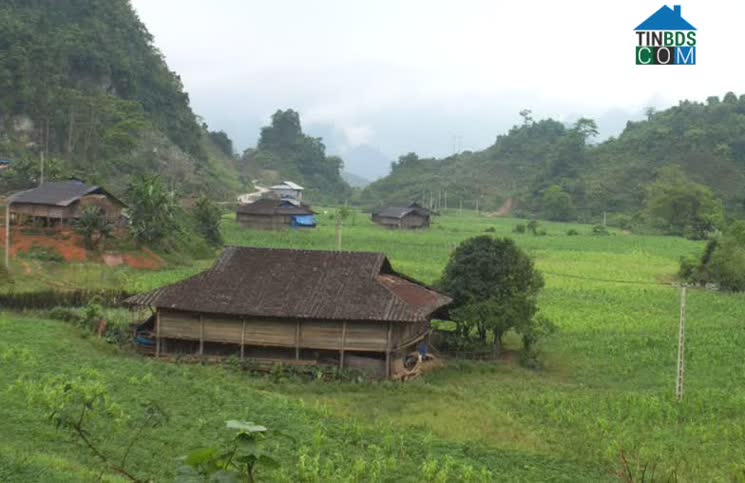 Hình ảnh Cần Yên, Cao Bằng