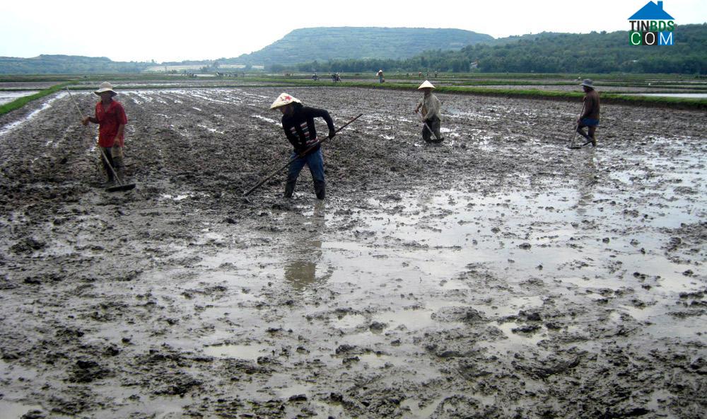 Hình ảnh Tuy An Đông, Đắk Lắk