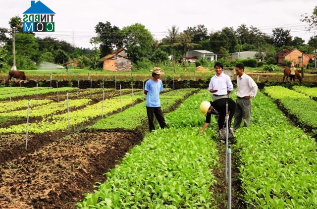 Hình ảnh Quảng Phú, Đắk Lắk