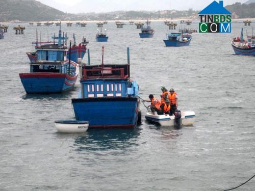 Hình ảnh Sông Cầu, Đắk Lắk