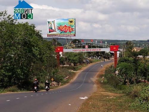 Hình ảnh Cư Bao, Đắk Lắk