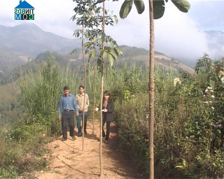 Hình ảnh Na Sang, Điện Biên