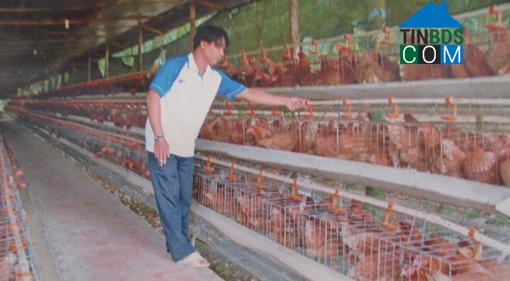 Hình ảnh Thường Tân, Hồ Chí Minh