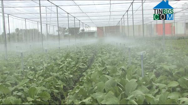 Hình ảnh Tân Khánh, Hồ Chí Minh