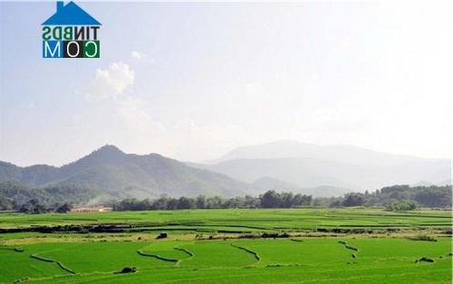 Hình ảnh Yên Xuân, Hà Nội