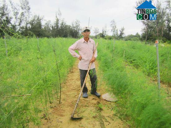 Hình ảnh Điện Bàn Đông, Đà Nẵng