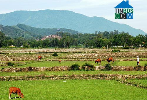 Hình ảnh Quế Sơn Trung, Đà Nẵng