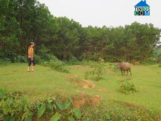 Hình ảnh Tam Mỹ, Đà Nẵng