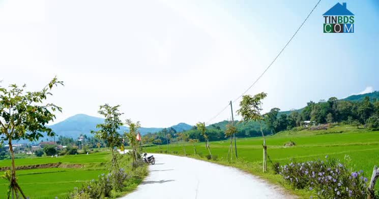 Hình ảnh Quế Phước, Đà Nẵng