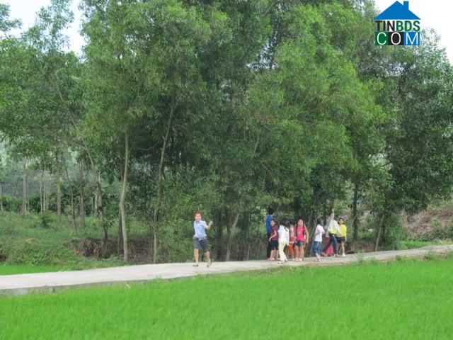 Hình ảnh Thu Bồn, Đà Nẵng