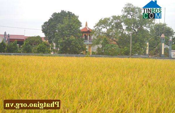 Hình ảnh Vĩnh Lại, Hải Phòng