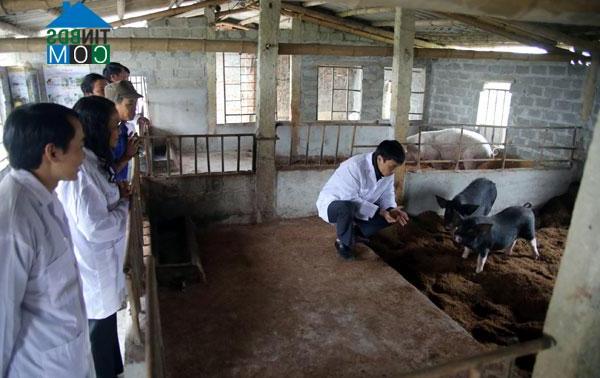 Hình ảnh Vĩnh Thịnh, Hải Phòng