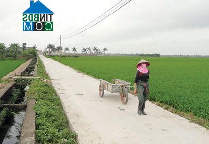 Hình ảnh An Hưng, Hải Phòng