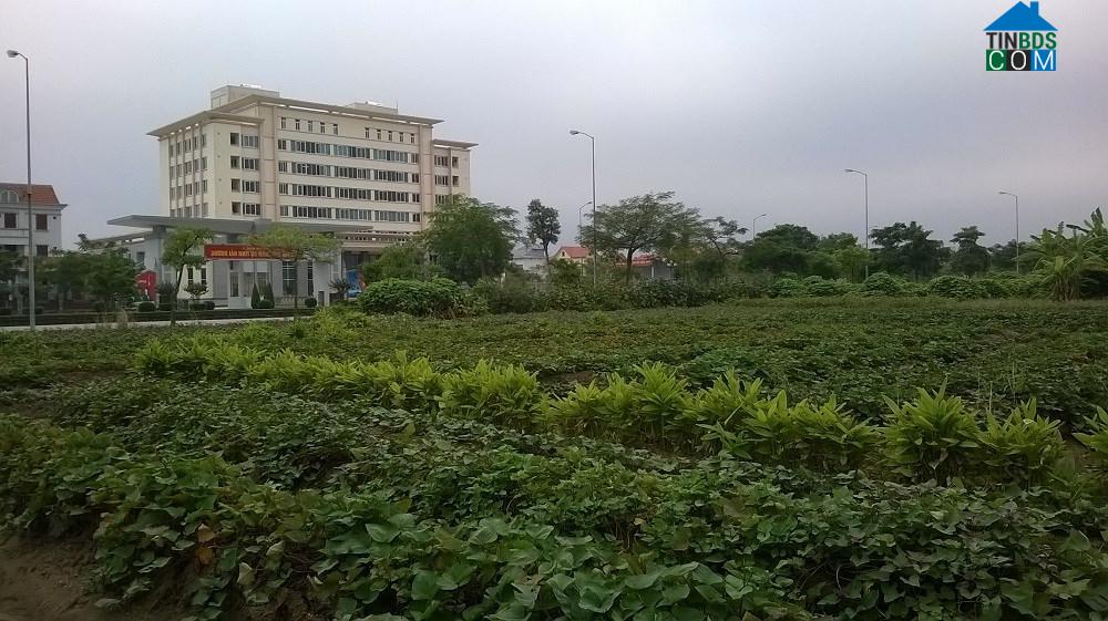 Hình ảnh Trần Phú, Hải Phòng